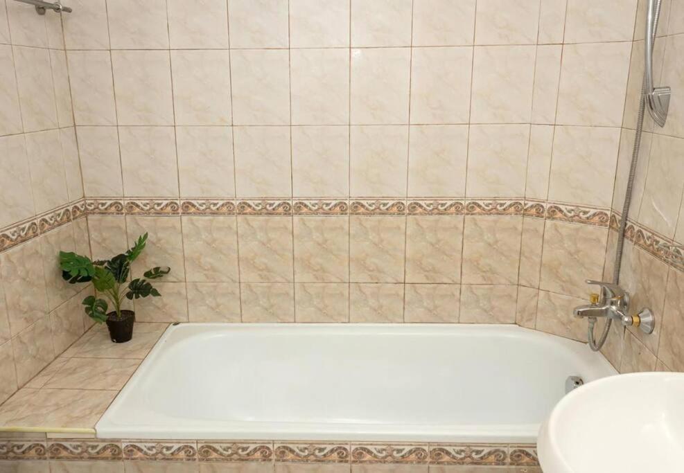 Modern Bright Close To Center And Grand Mall Daire *